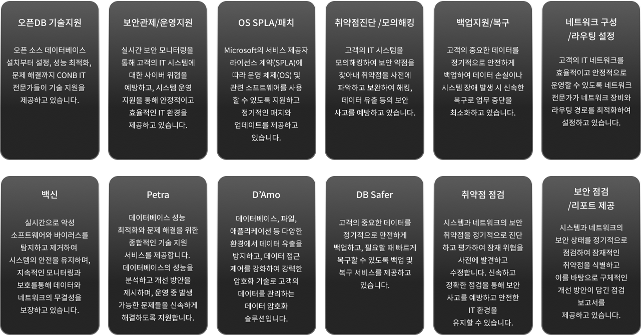오픈DB 기술지원, 보안관졔/운영지원, OS SPLA/패치, 취약점진단/모의해킹, 백업지원/복구, 네트워크구성/라우팅 설정, 백신, Petra, D’Amo, DB Safer, 취약점 점검, 보안점검/리포트 제공