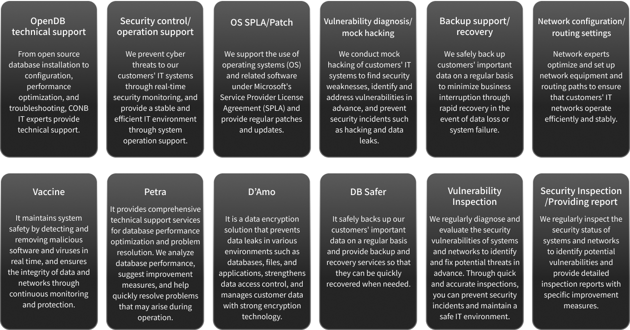 OpenDB technical support, Security control/operation support, OS SPLA/Patch, Vulnerability diagnosis/mock hacking, Backup support/recovery, Network configuration/routing settings, Vaccine, Petra, D’Amo, DB Safer, Vulnerability Inspection, Security Inspection/Providing report